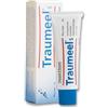 Traumeel S Pomada 100 g