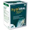 Hyaloral razas grandes 12
