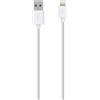 Belkin Cable USB Belkin C