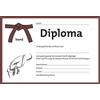 Generic Diploma - Cinturó