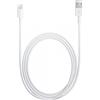 Apple Lightning a USB Bul