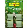 Abono Clavos Verde